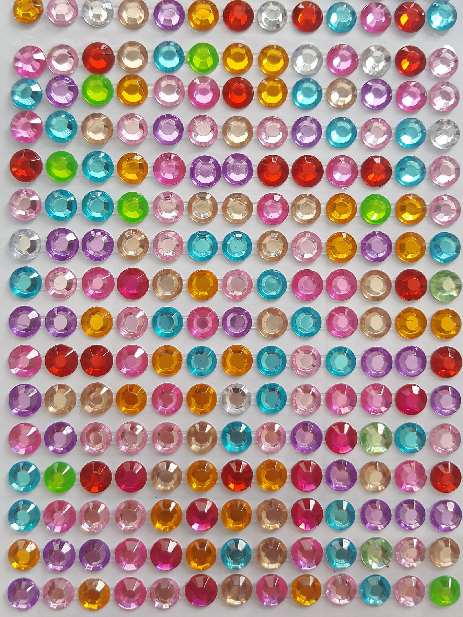 multibella