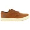 Pánske kozene Timberland sneakers A1S6W CITYROAM brown