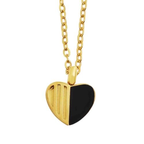 Prívesok oceľ Srdce Heart bicolor 5010267 s retiazkou