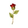 brosna ruza rose red 1